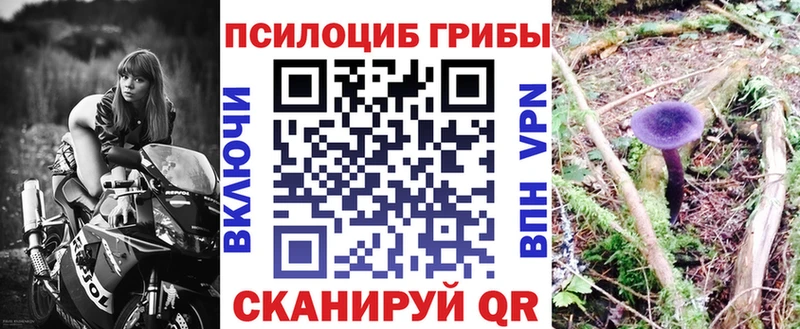 Псилоцибиновые грибы Psilocybine cubensis  где найти   Игарка 