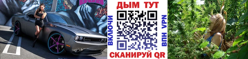 Конопля сатива  купить наркоту  Игарка 
